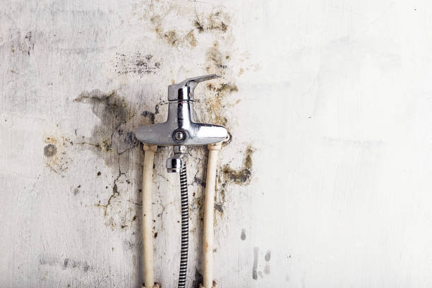 Best Mold Testing  in Fort Worth, TX
