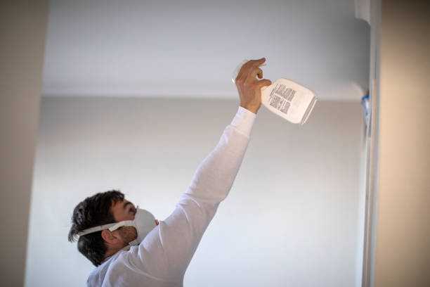 Office Mold Removal Services in Fort Worth, TX