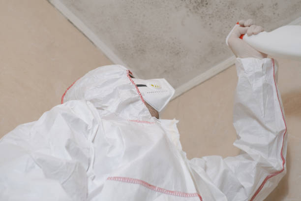 Best Emergency Mold Removal  in Fort Worth, TX